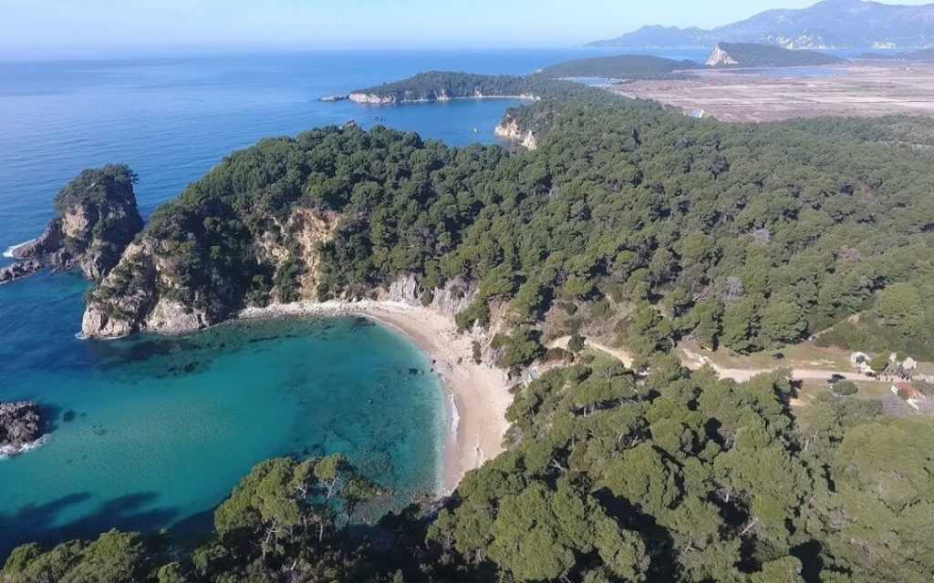 Ματαιώνεται η εκμετάλλευση του «ιδιωτικού» δάσους της Βαλανιδορράχης – Παγώνουν τα σχέδια των φερόμενων ως ιδιοκτητών – Πρώτη νίκη για την τοπική κοινωνία!