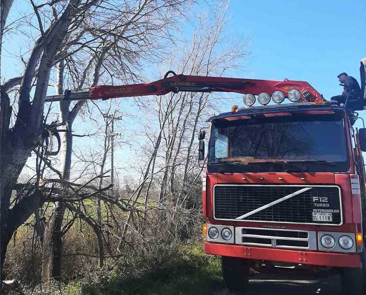 Δωρεάν ξυλεία από το κόψιμο δέντρων διαθέτει στους ευάλωτους οικονομικά δημότες ο Δήμος Πάργας