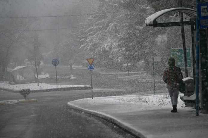 Ο καιρός με την Ν. Ζιακοπούλου: Κρύο και χιόνια το επόμενο διήμερο – Άνοιξη από την Πέμπτη (video)