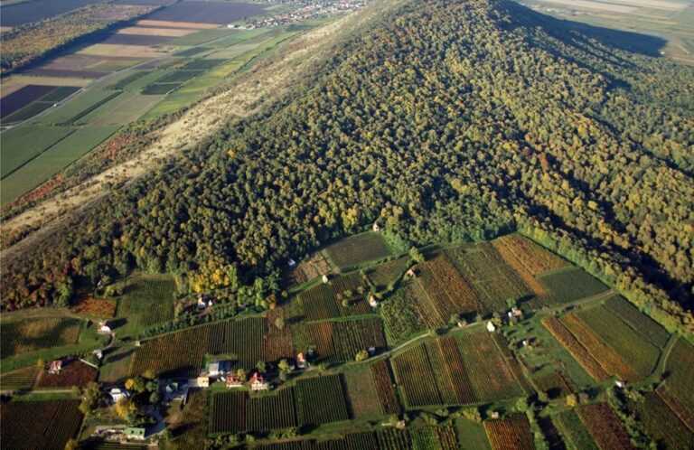 Ήπειρος: Ρύθμιση για την επαναπόδοση των δασωμένων αγρών στους ιδιοκτήτες