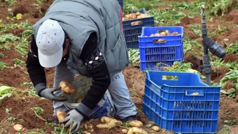 Ανησυχία για έλλειψη εργατών γης στην Πρέβεζα
