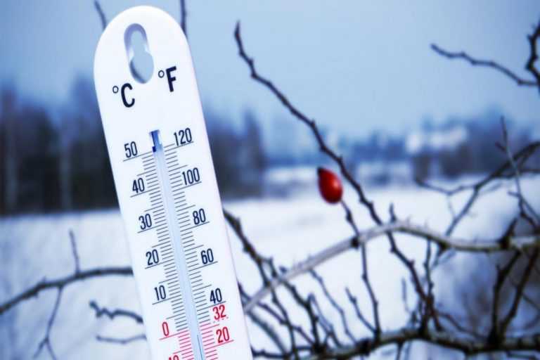 «Γδάρτης» ο φετινός Μάρτιος στην Ήπειρο