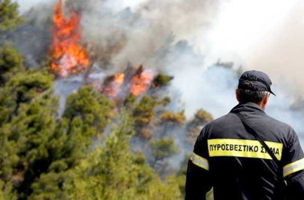 Σύσκεψη στα Ιωάννινα για την καλύτερη προετοιμασία εν όψει της αντιπυρικής περιόδου