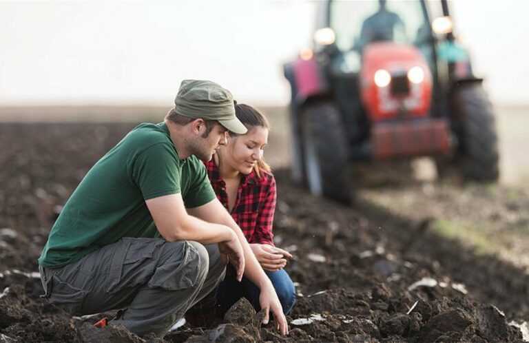 Ήπειρος: Μειωμένο ενδιαφέρον για ένταξη στο πρόγραμμα νέων αγροτών