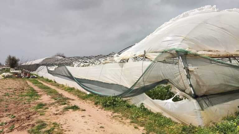 Σε εξέλιξη η καταγραφή των ζημιών που άφησαν στους παραγωγούς της Πρέβεζας οι ανεμοστρόβιλοι της 31ης Μαρτίου