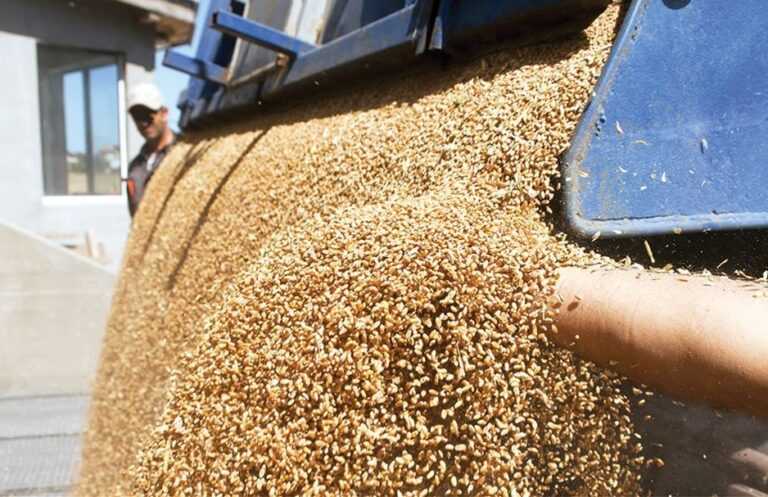 Ήπειρος: Οι επιχειρήσεις πρέπει να δηλώσουν αποθέματα γεωργικών προϊόντων και τροφίμων.