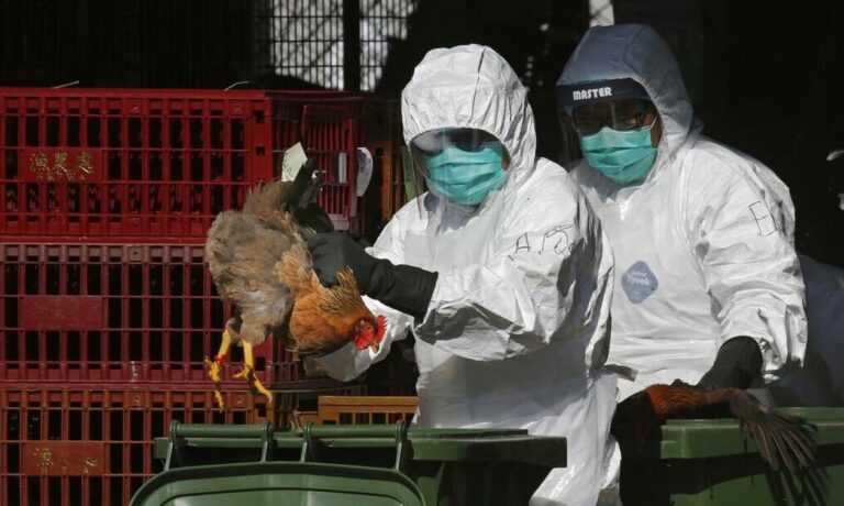 Πρώτο περιστατικό της γρίπης των πτηνών H3N8 σε άνθρωπο