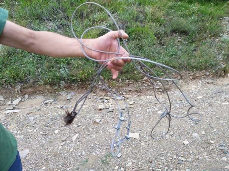 13 συρμάτινες θηλιές για την παγίδευση θηραμάτων εντοπίστηκαν και κατασχέθηκαν στην Άρτα
