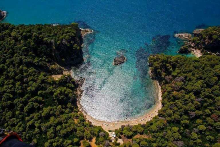 Δάσος Βαλανιρροράχης Πάργας: Με προσφυγές και έρευνες σε τουρκικά αρχεία απαντούν εκπρόσωποι πολιτικών και κοινωνικών φορέων