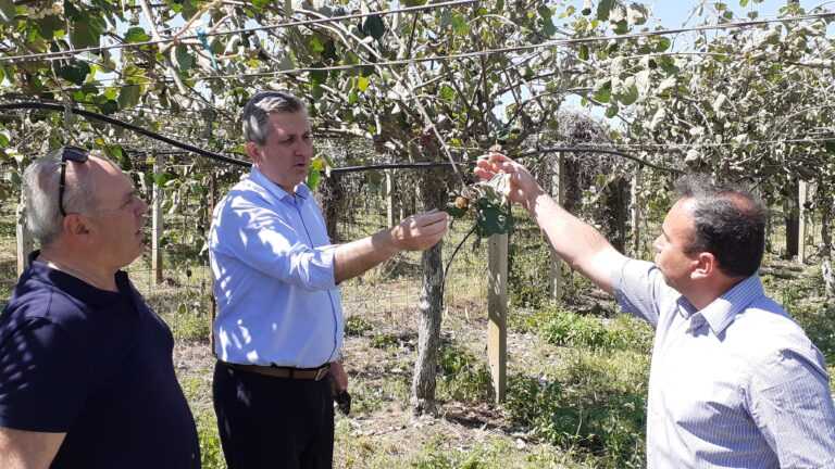 Άμεση καταγραφή των ζημιών και καταβολή των αποζημιώσεων ζητά ο Δήμαρχος Αρταίων μετά την επίσκεψη στις πληγείσες περιοχές