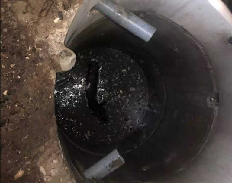 Μέτσοβο: Πυροσβέστες έσωσαν μικρό άλογο που εγκλωβίστηκε σε υπόνομο