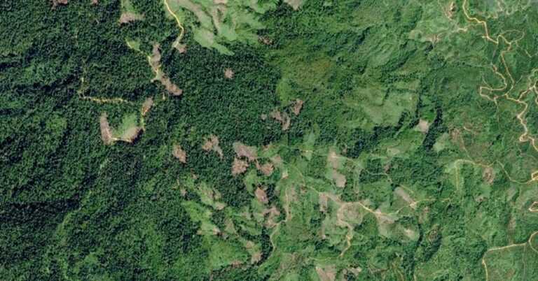 Ήπειρος: Παράταση κατά ένα μήνα της προθεσμίας για την υποβολή αντιρρήσεων στους δασικούς χάρτες