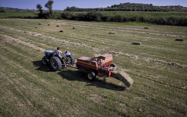 Επέκταση παραχώρησης αδιάθετων χωραφιών σε νέους αγρότες – Ρυθμίσεις για καταπατημένα