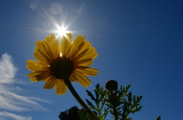 Έρχεται μίνι «καλοκαίρι» – Ο υδράργυρο θα ξεπεράσει τους 30 βαθμούς Κελσίου.