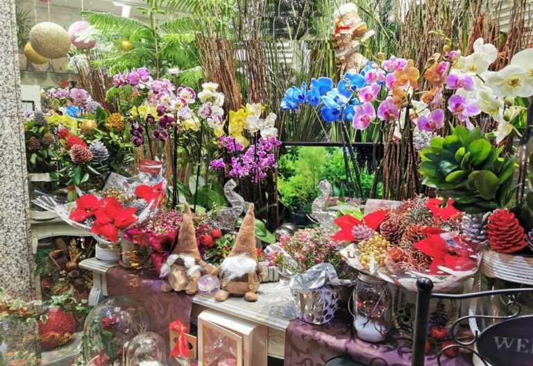 Γυναίκα Ρομά στην Πρέβεζα έκλεψε προϊόντα από ανθοπωλείο