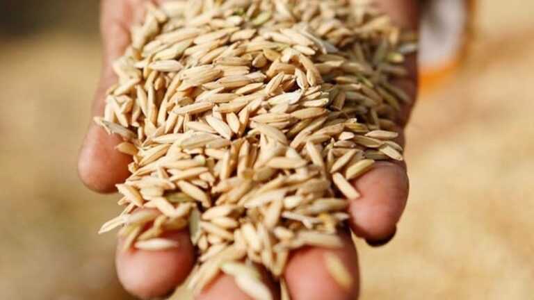 Ουκρανία: Σταθμοί αποθήκευσης σιτηρών βομβαρδίζονται στη Μικολάιφ