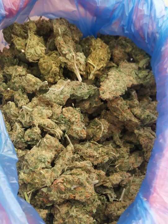 Ιωάννινα: Συνελήφθη για κατοχή και διακίνηση κάνναβης