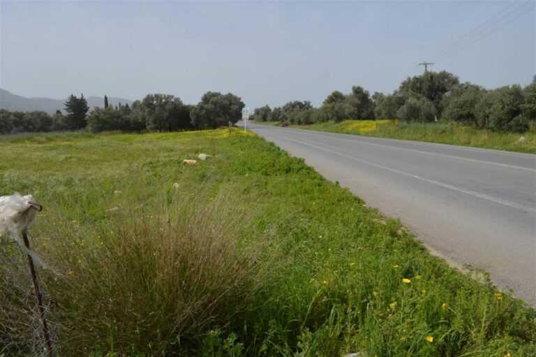 Τραγωδία: Βρέθηκε νεκρός από τον ίδιο του τον γιο σε οικόπεδο ιδιοκτησίας του