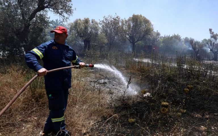 Θεσπρωτία: Συνελήφθη εμπρηστής για φωτιά σε αύλειο κτηνοτροφικό χώρο