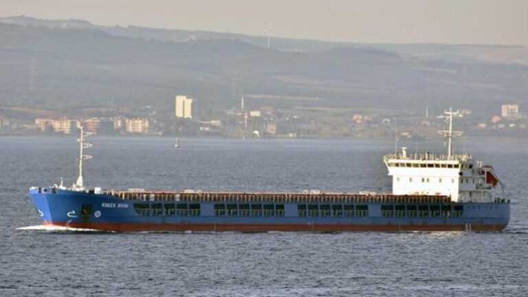 Ουκρανία: Οργή για το ρωσικό πλοίο με τα σιτηρά που επιτράπηκε να αποπλεύσει από την Τουρκία