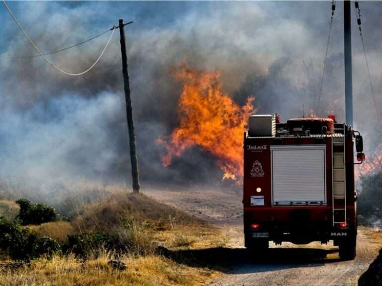 Βωβούσα Ιωαννίνων: Συνεχίζεται η επιχείρηση της Πυροσβεστικής για τον έλεγχο της πυρκαγιάς σε δύσβατη περιοχή