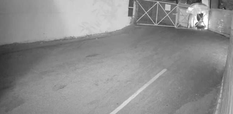 Εμπρησμός στην παραλία Λίχνος στην Πάργα: Εμπρηστής εμφανίστηκε ξαφνικά με ένα σεντόνι