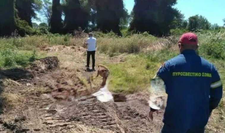 Τον σκότωσαν και τον «έθαψαν» σε έλος τον 28χρονο εργάτη γης που αγνοείται