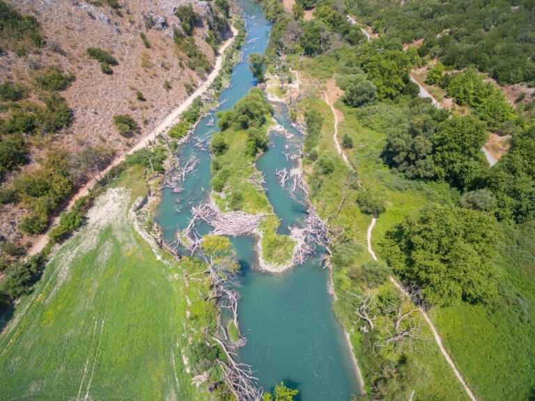 Σε νεκροταφείο υπεραιωνόβιων πλατάνων μετατράπηκε ο Καλαμάς 