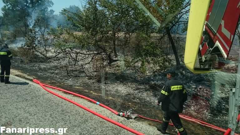 Πυρκαγιά στο Νεοχώρι Πρέβεζας δίπλα σε θερμοκήπια και κατοικίες