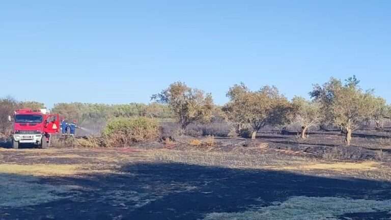 Νεοχώρι Πρέβεζας: Η έγκαιρη παρέμβαση της πυροσβεστικής απέτρεψε τα χειρότερα από την φωτιά