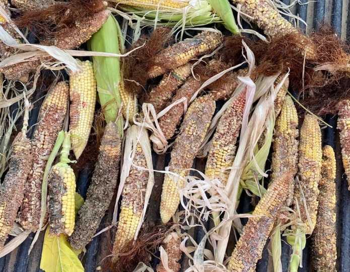 «Μάστιγα» για άλλη μια καλλιεργητική περίοδο οι επιδρομές των αγριόχοιρων στην Ήπειρο 