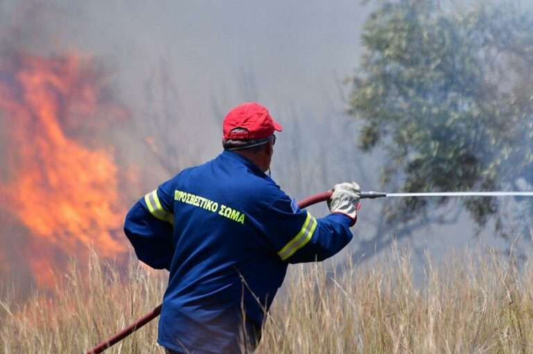 Η άμεση επέμβαση της Πυροσβεστικής έθεσε υπό έλεγχο δύο πυρκαγιές σε Γιάννενα και Θεσπρωτία