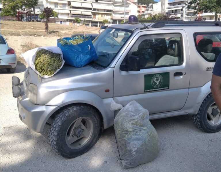 Συνελήφθησαν αλλοδαποί με 25 κιλά τσαγιού στο Μιτσικέλι