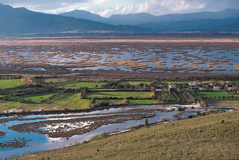 Έρευνα για τα χέλια στον Αμβρακικό κόλπο