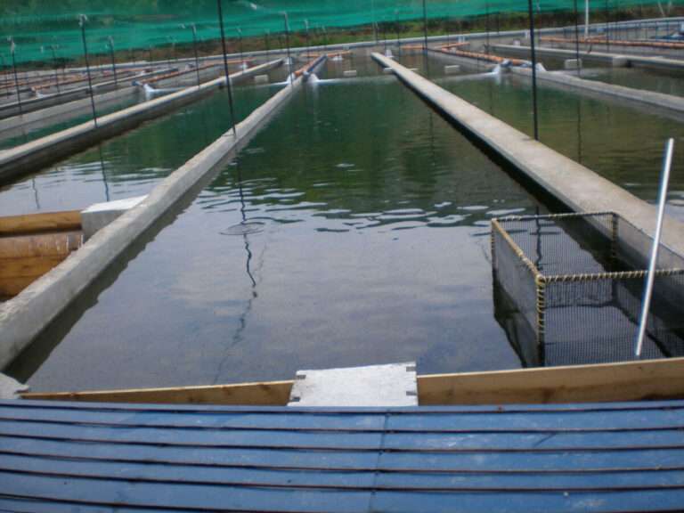 Τραγωδία στο Καναλάκι: Θρήνος για τους δύο νεκρούς – Πώς έγινε η φονική έκρηξη στο ιχθυοτροφείο