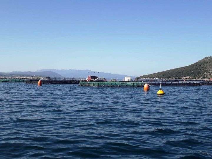 Προχωρά η προγραμματική σύμβαση για τον σχεδιασμό Ολοκληρωμένων Χωρικών Επενδύσεων στον Αμβρακικό Κόλπο