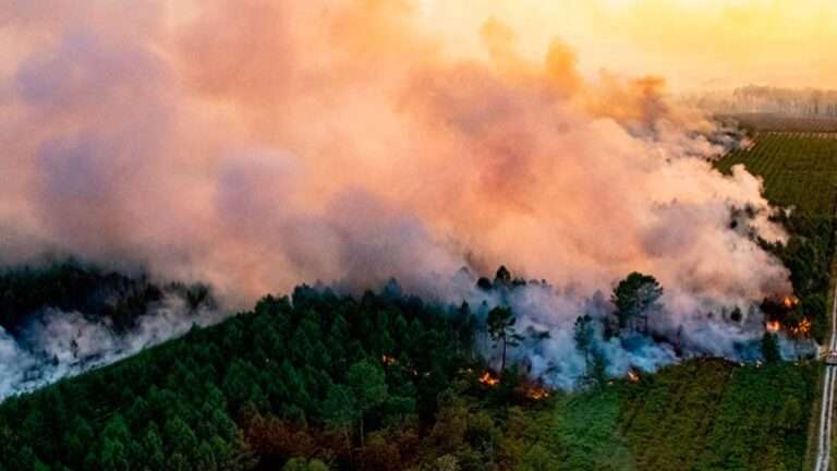 Γαλλία: Πυρκαγιά κατέκαψε 13.000 στρέμματα στο νοτιοδυτικό τμήμα της χώρας