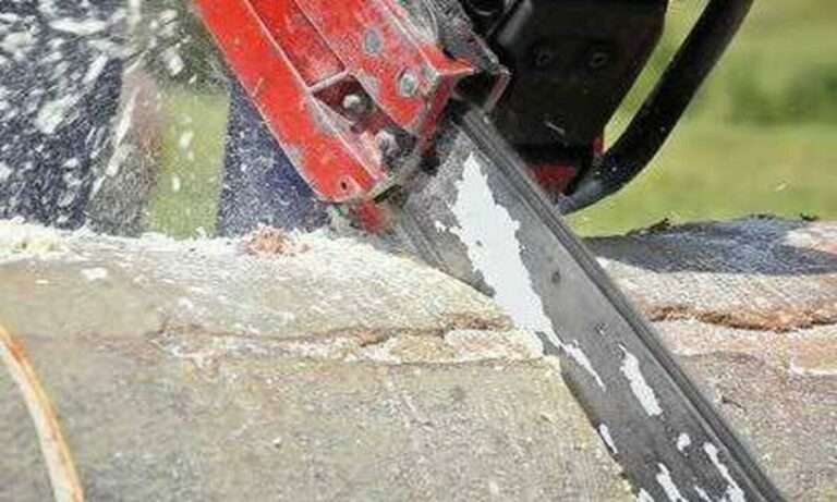 Ανατριχιαστικό σκηνικό: Πώς έγινε το φρικτό δυστύχημα με το αλυσοπρίονο – «Ακούστηκε μόνο μια κραυγή»