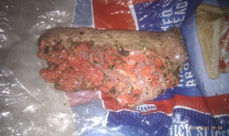 Θεσπρωτία: Είχε γεμίσει την περιοχή με φόλες για να θανατώσει αδέσποτα