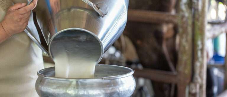 Ιωάννινα: Παραινέσεις για αυτοσυγκράτηση στο αίτημα για αυξήσεις στις τιμές γάλακτος