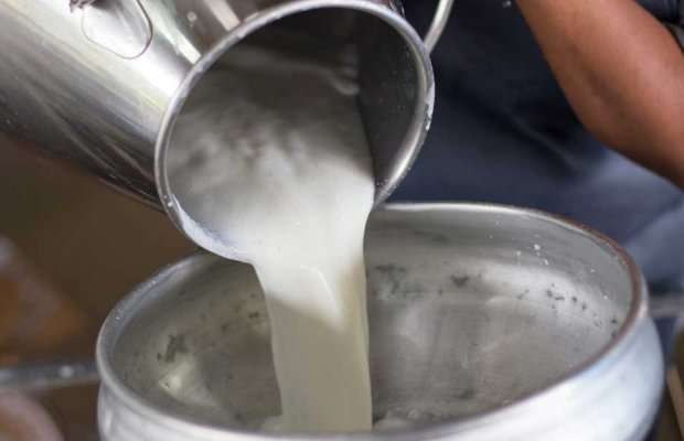 Ιωάννινα: Παραινέσεις για αυτοσυγκράτηση στο αίτημα για αυξήσεις στις τιμές γάλακτος