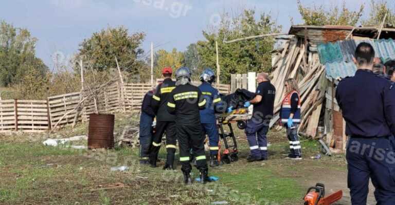 Τραγωδία: Δέντρο καταπλάκωσε και σκότωσε γυναίκα!