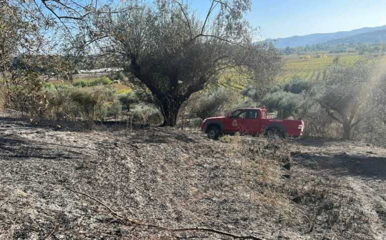 Ηλικιωμένη έβαλε φωτιά σε χωράφι με ελιές και κάηκε ζωντανή