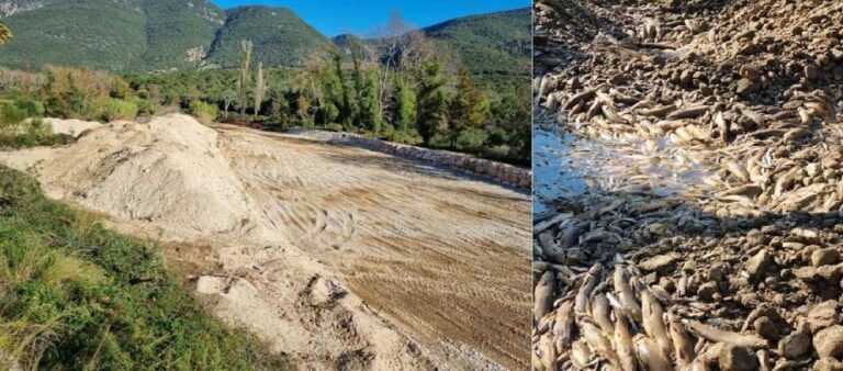 Ανυπολόγιστη περιβαλλοντική καταστροφή στον Λούρο με εκατοντάδες νεκρά ψάρια