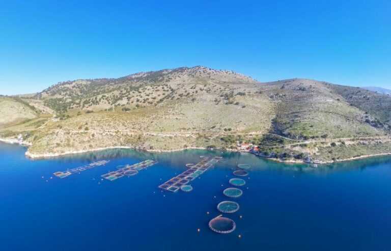 Σαγιάδα Θεσπρωτίας: Αντιδράσεις για την άδεια εγκατάστασης πετρελαιοειδών ανάμεσα στις ιχθυοκαλλιέργειες