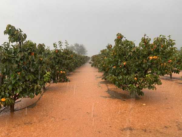 Άρτα: Κάτω από τα νερά και τα εσπεριδοειδή του Κομποτίου