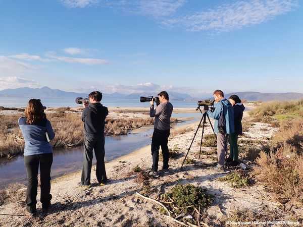 Μέλη και οι φίλοι της Ελληνικής Ορνιθολογικής Εταιρίας στον Αμβρακικό Κόλπο – Κατέγραψαν σπάνια υδρόβια πτηνά