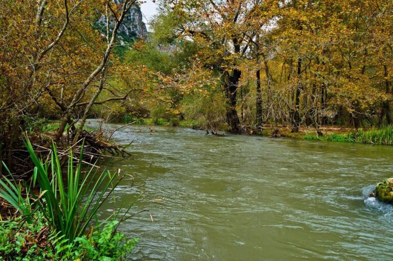 ΟΦΥΠΕΚΑ: 124.000 ευρώ για την ανάκαμψη της βιοποικιλότητας του ποταμού Λούρου