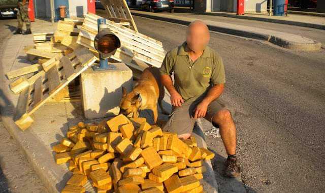 Έφυγε από τη ζωή η ΛΕΣΥ το σκυλί θρύλος του λιμεναρχείου Ηγουμενίτσας