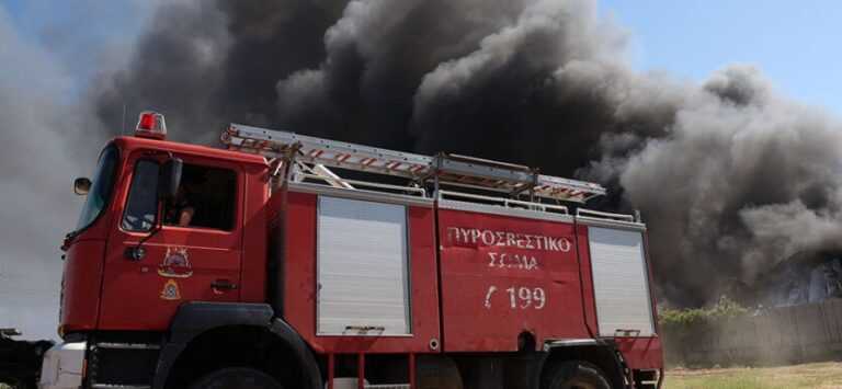 Συναγερμός στα Ιωάννινα: Πυρκαγιά σε εργοστάσιο ξυλείας – Καίγονται και σπίτια